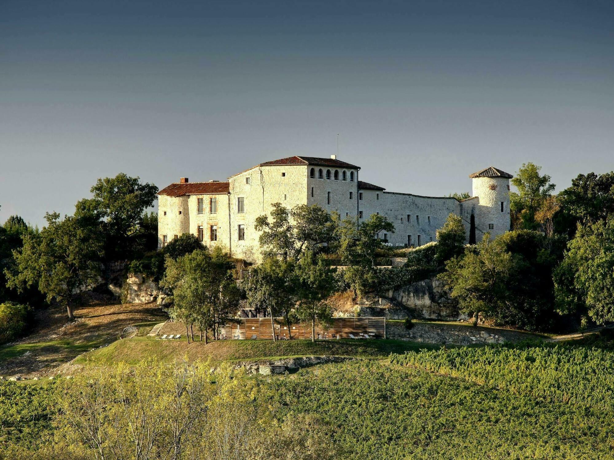 Chateau De Salettes Cahuzac-sur-Vere Exterior photo