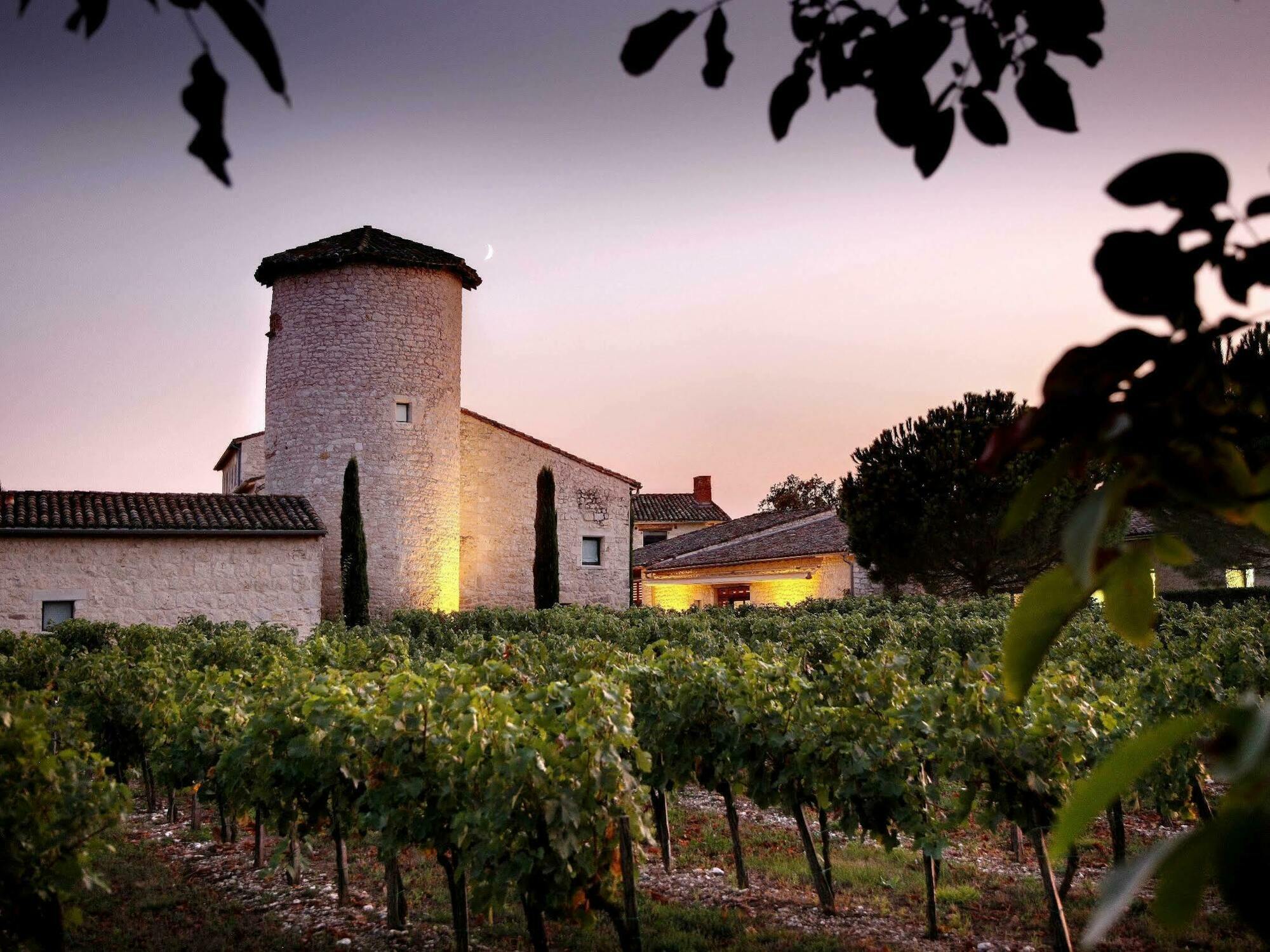 Chateau De Salettes Cahuzac-sur-Vere Exterior photo